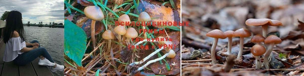 дистиллят марихуана Пересвет