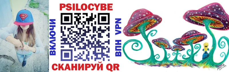 Псилоцибиновые грибы Psilocybine cubensis  Боровичи 