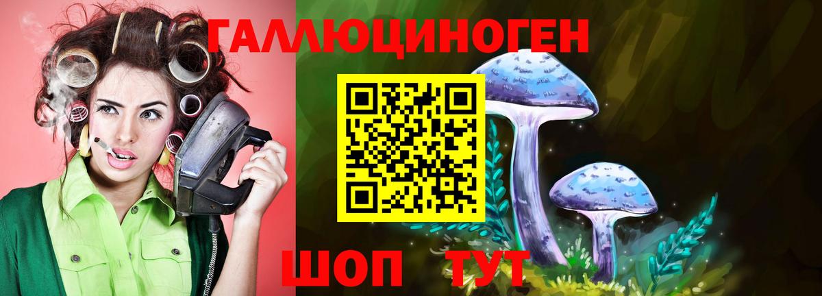 Псилоцибиновые грибы мухоморы  Боровичи  где найти наркотики  Псилоцибиновые грибы ЛСД 