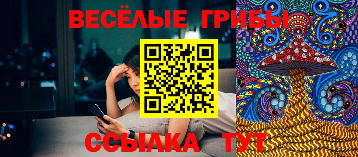Псилоцибиновые грибы мицелий  Вход с VPN  Боровичи  Псилоцибиновые грибы мицелий 