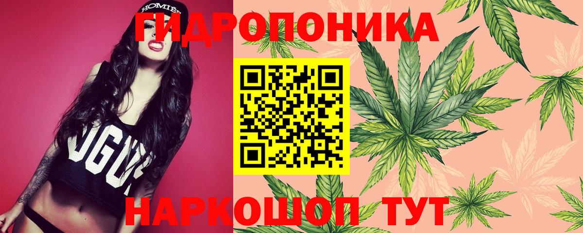 Боровичи  Шишки марихуана ГИДРОПОН  Шишки марихуана AK-47  Вход с VPN  Марихуана White Widow 